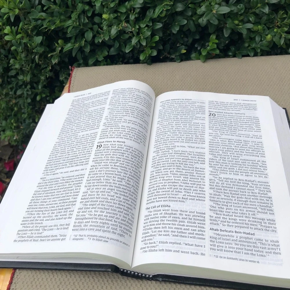 Holy Bible New International Version by Zondervan 2011